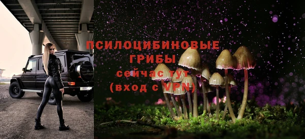 ешки Нефтекумск