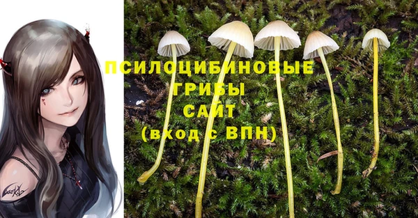 не бодяженный Новодвинск