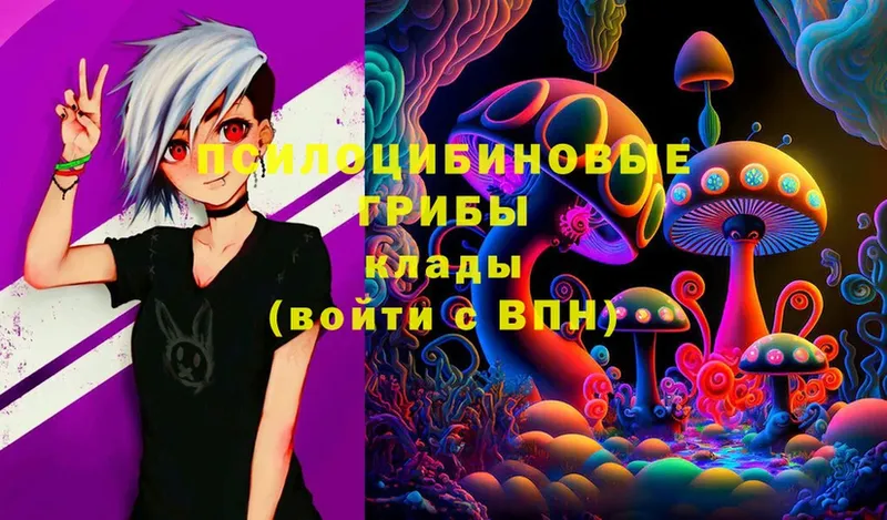 Псилоцибиновые грибы Psilocybe  shop формула  Кукмор  дарнет шоп 